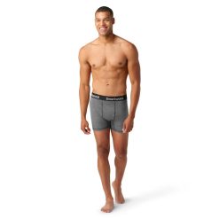 Smartwool Merino Men's Active Boxer Brief