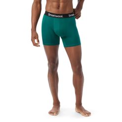 Smartwool Merino Men's Everyday Merino Boxer Brief