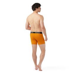 Alternative view of Smartwool Merino Men's Active Boxer Brief