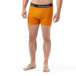Smartwool Merino Men's Active Boxer Brief