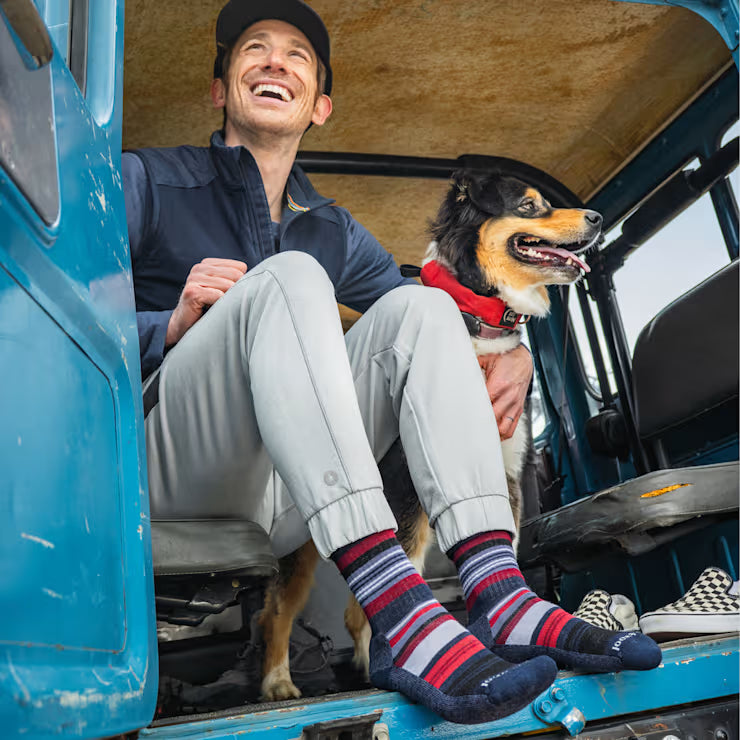 Smartwool Merino Everyday Joviansphere Crew Socks - Image 3